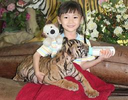 tiger zoo thailand - 2
