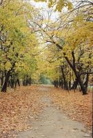 Лошицкий Парк 10 - Осень