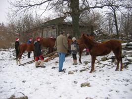 Старая Мельница. Зима 2004