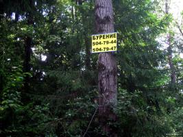 Реклама в лесу