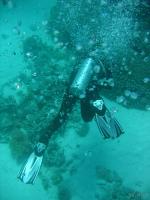 Египет Хургада Дайвинг / Egypt Hurghada Diving 2006 1 diving