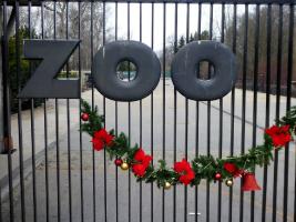 Warsaw Zoo - Варшавский зоопарк - Warsaw - Варшава / Poland - Польша
