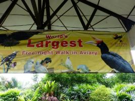 Bird Park - Kuala Lumpur - Куала-Лумпур / Malaysia - Малайзия