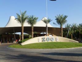 Al Ain Zoo - Аль-Айн Зоопарк - Emirate Abu Dhabi / United Arab Emirates - Объединённые Арабские Эмираты