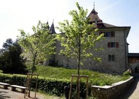 Schloss Kyburg - Kyburg - Кибург / Switzerland - Швейцария