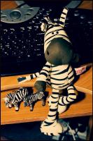 mr.Zebra