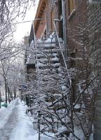 Snowy Montreal Dec 2008