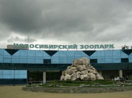Одбузг-2007. Новосибирск