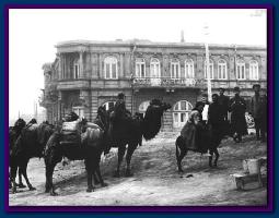 Верблюды на улицах Баку