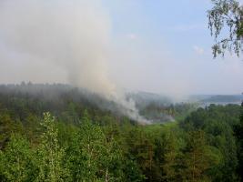 Карелия июль 2006 - Пожар