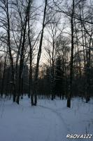 Вечерняя прогулка по зимнему лесу (19 февраля 2009 г.)