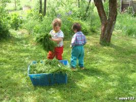 Лёшка и Данилка убирают траву (5 июня 2005 г.)