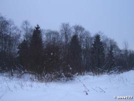 Велопокатушка в зимний лес (3)(19 февраля 2006 г.)
