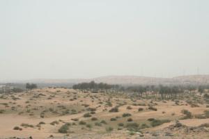 UAE 2008