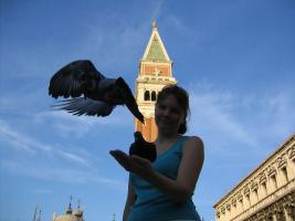 Venice - Pigeons
