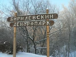 Зима в Бирюлево'10