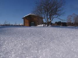 Ноябрь 2011. Снег. КамышановаПоляна