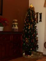 Christmas Decorations 2011