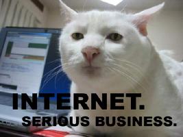 Internet serious business