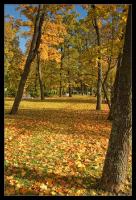 Осень Александровского Парка