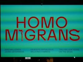 Historisches Museum - Homo Migrans - Bern - Берн / Switzerland - Швейцария