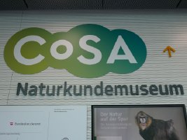 Naturkundemuseum - Graz - Грац / Austria - Австрия