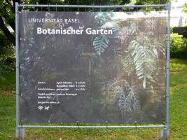 Botanischer Garten der Universität - Basel - Базель / Switzerland - Швейцария