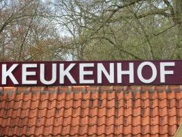 Keukenhof - world's largest flower garden / Kingdom of the Netherlands - Нидерланды
