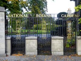 National Botanic Gardens of Ireland - Dublin - Дублин / Ireland - Республика Ирландия