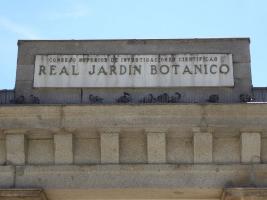 Real Jardín Botanico - Madrid - Мадрид / Spain - Испания