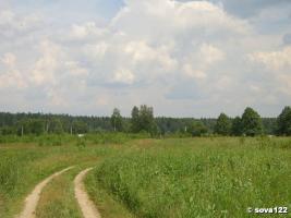 Путешествие по заповедным местам.НП Угра. Галкинский лес.(26 июня 2005 г.)