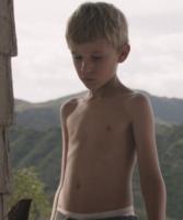 Jared Breeze - the Boy (2015)